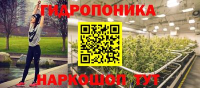 сатива Коммунар