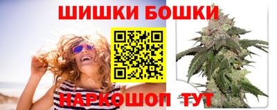 сатива Коммунар