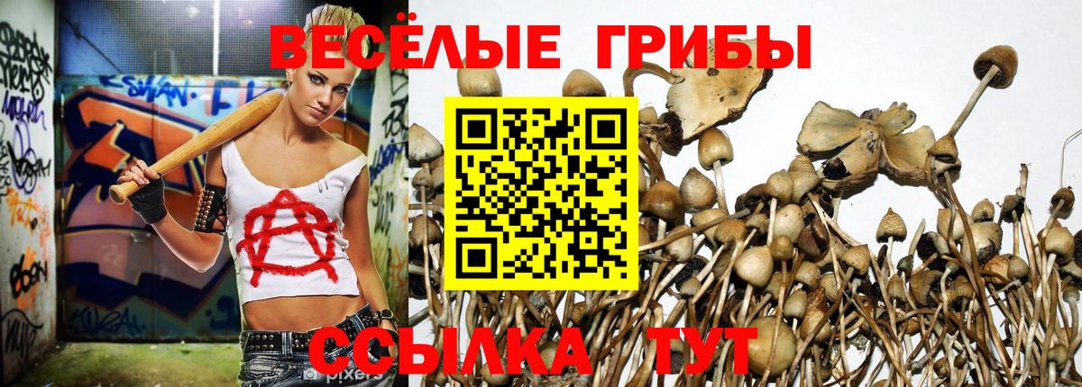 Галлюциногенные грибы Psilocybine cubensis Кудымкар
