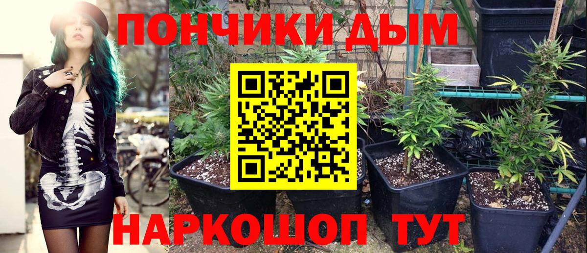 Бошки марихуана тримм  Вход с VPN  Кудымкар  Шишки марихуана семена  Марихуана OG Kush 